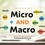 Micro and Macro