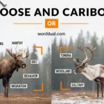 Moose and Caribou