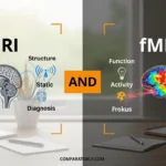MRI and fMRI